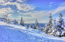 winterlandschaft harz seminar.jpg