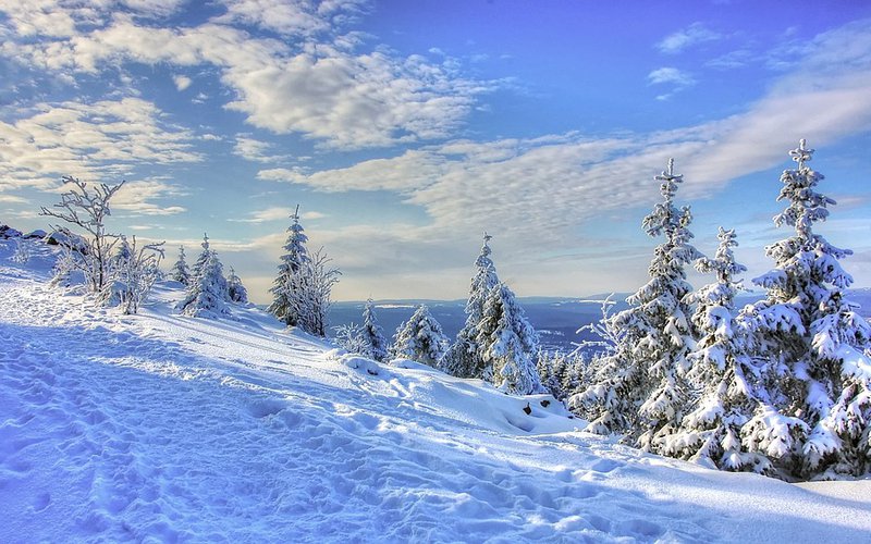 winterlandschaft harz seminar.jpg